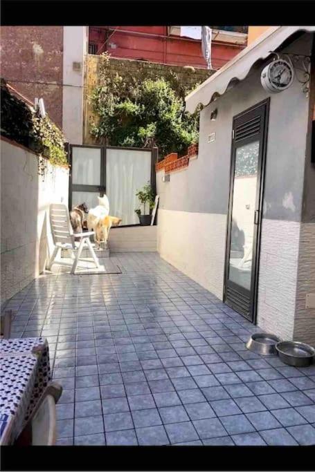 Napoli Centro Casa Con Due Camere E Cucina Dış mekan fotoğraf